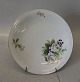 1 pcs in stock
326 Luncheon 
platen ca 21 cm 
Paris Bing and 
Grondahl  
Marked with the 
three ...