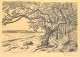 Henriques, 
Frans (1882 - 
1956) Danmark: 
Opus 4. No 4 af 
25, 1927. Kul 
på papir. 
Signeret: FH 27 
...