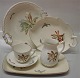 Cactus  Bing & 
Grondahl 
Tableware  
Antal	US$	B&G 
Cactus	 UK £ 	 
Euro € 
2	 $119 	008 
...