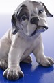 Dahl Jensen, 
porcelæns 
figur, hund. DJ 
Fransk Bulldog 
hvalp, nr. 
1139. Højde 7,5 
cm. 2. ...