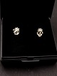14 karat 
hvidguld øre 
stikker med 
diamant enme 
mr. 597458
