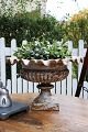 Gammel fransk 
støbejerns 
krukke med 
bølge kant og 
en fin gammel 
patina. H:28cm. 
...
