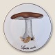Bing & 
Grøndahl, 
Svampeplatte / 
Bordskåner, 
Lepista nuda 
#3518/ 949, 
15cm i diameter 
*Perfekt stand*