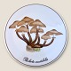 Bing & 
Grøndahl, 
Svampe platte/ 
Bordskåner, 
Pholiota 
mutabilis 
#3517/ 949, 
15cm i diameter 
...