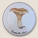 Bing & 
Grøndahl, 
Svampeplatte/ 
Bordskåner, 
Cantharellus 
cibarius #3513/ 
949, 15cm i 
diameter ...