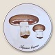 Bing & 
Grøndahl, 
Svampeplatte/ 
Bordskåner, 
Agaricus 
bisporus #3516/ 
949, 15cm i 
diameter ...