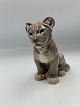 Dahl Jensen 
Løveunge 
Modelnummer 
1275
1 Sortering 
Højde 15 cm