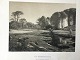 Adolph 
Kittendorff 
(1820-1902):
Parti fra 
Horneland ved 
Faaborg
Litografi på 
papir.
Efter ...