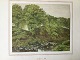 Ferdinand 
Larsen 
(1830-92):
Parti fra Sæby 
å.
Farvelitografi 
på papir.
Efter maleri 
af P.C. ...