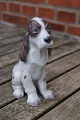 Lyngby 
porcelænsfigur 
nr. 85X i 
1.sort. Lyngby 
porcelænsfigurer.

Cockerspaniel 
i perfekt ...