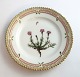 Royal 
Copenhagen, 
Flora Danica. 
Kage tallerken. 
Design #3552. 
Diameter 14 cm. 
(1 sortering). 
...