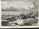 Carl Jensen 
(1844-1918):
"En Fiskeplads 
mellem 
Ringkjøbing og 
Nissum Fjorde"
Xylografi på 
...
