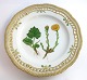 Royal 
Copenhagen. 
Flora Danica 
plate. Diameter 
25 cm. (3553). 
(1 quality). 
Tussilago 
farfara L