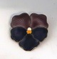 C.A.C, 
København. 
Sterling broche 
med emalje 
(925). Bredde 
35 mm.