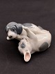 Royal 
Copenhagen 
pointer puppies 
453