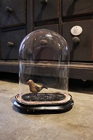 item no: Globe nr.12