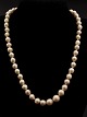Halskæde med 
kulturperler og 
lås 14 karat 
guld med 
diamant L. 44 
cm. emne nr. 
607649