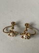 Perle, Øreringe 
med skrue 8K 
Guld 
Stemplet: HS 
HS
Diameter: 1 
cm.
Flot og 
velholdt ...