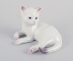 Royal 
Copenhagen. 
Porcelænsfigur 
af liggende 
hvid 
kattekilling.
Underglasur.
Modelnummer: 
...
