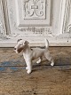B&G figur 
Ruhåret Fox 
terrier 
No. 2072, 1. 
sortering
Højde 9 cm. 
Længde 11 cm.
Design: ...