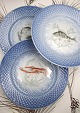 Bing & Grøndahl 
Blå Tone 
fisketallerkner 
i hotelporcelæn 
...