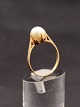 8 karat guld 
ring med ægte 
perle størrelse 
60 emne nr. 
614091