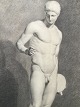 Akademitegning 
af Carl V. 
Meyer 1893 - 
Nøgen mand - 
...