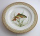 Royal 
Copenhagen. 
Fauna Danica. 
Fisketallerken. 
Middags 
tallerken. 
Model # 19 - 
3549. Diameter 
...