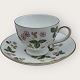 Wedgwood, Wild strawberry, cup with saucer, Cup dimensions: height 6.5cm diameter 8.2cm *Perfect ...