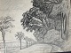 Erick Struckmann (1875-1962):Allé træer.Kul/Bly på papir.Sign.: usigneretStammer fra en ...