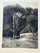 Sigvard Hansen (1859-1938):Huset i skovenRadering på papir.Sign.: Sigvard H. (spejlvendt i ...