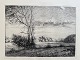 Sigvard Hansen (1859-1938):Landskab 1896.Radering på papir.Sign.: Sigvard Hansen 96 (i ...