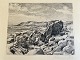 Johannes Glob (1882-1955):Kystparti med store sten 1929.Radering på papirSign.: Johannes ...