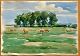 Svendsen, Albert (1889 - 1959) Danmark: Heste på en mark, Herlufsholm, Næstved. Akvarel. ...