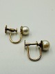 klik for zoom