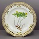 Royal Copenhagen, Flora Danica; Middagstallerken #3553