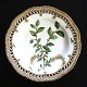 Royal Copenhagen. Flora Danica plate. Diameter 25 cm. (3553). Produced before 1890. (1 quality). ...