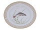 Royal Copenhagen Flora Danica, middagstallerken dekoreret med fisk.Dekorationsnummer ...