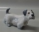 Dahl Jensen 
1002 Sealyham 
terrier 17 cm 
(DJ). Mærket 
med kongelig 
krone og DJ 
Copenhagen i 
hel ...