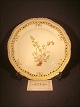 Flora Danica.
tallerken flad 
23 cm.
Fad til stor 
rund frugtkurv 
"Asplenium 
Ruta ...