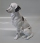 Bing & Grøndahl 
B&G hund 1904 
Engelsk Sætter 
21 cm  Se 
billiede 2, 3 
og 4.  I fin og 
hel stand. ...