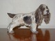 Dahl Jensen 
figur, 
Cockerspaniel
Dek. nr. 1145
1. sortering
Længde 16 cm.
Perfekt stand