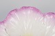 klik for zoom