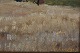 click to zoom click to zoom
