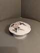 click to zoom