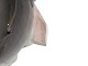 click to zoom