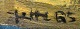 click to zoom