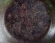 klik for zoom