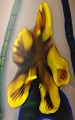 klik for zoom