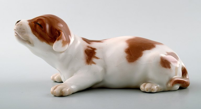 Royal Copenhagen Kgl. P Hundefigur nummer 1204 Bassethvalp.
